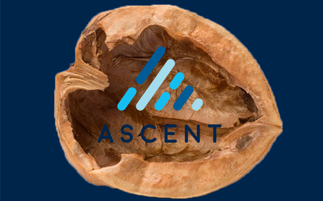 In A Nutshell: What Ascent Is All About