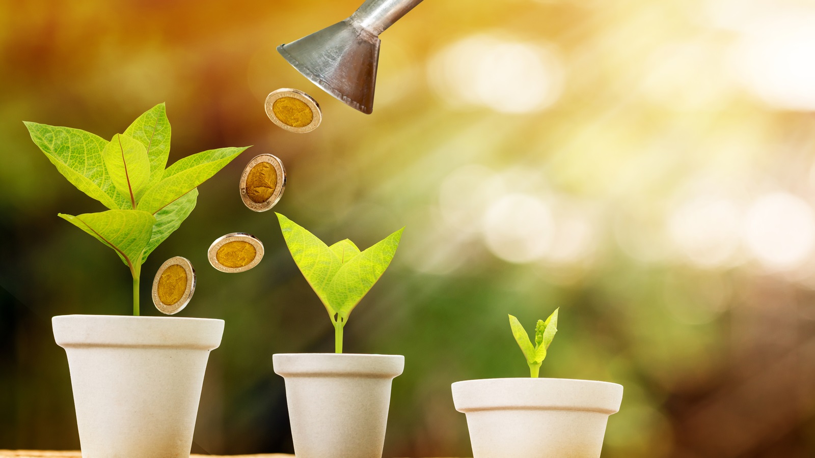 A Startup’s Guide to Seed Funding: Everything You Need to Know