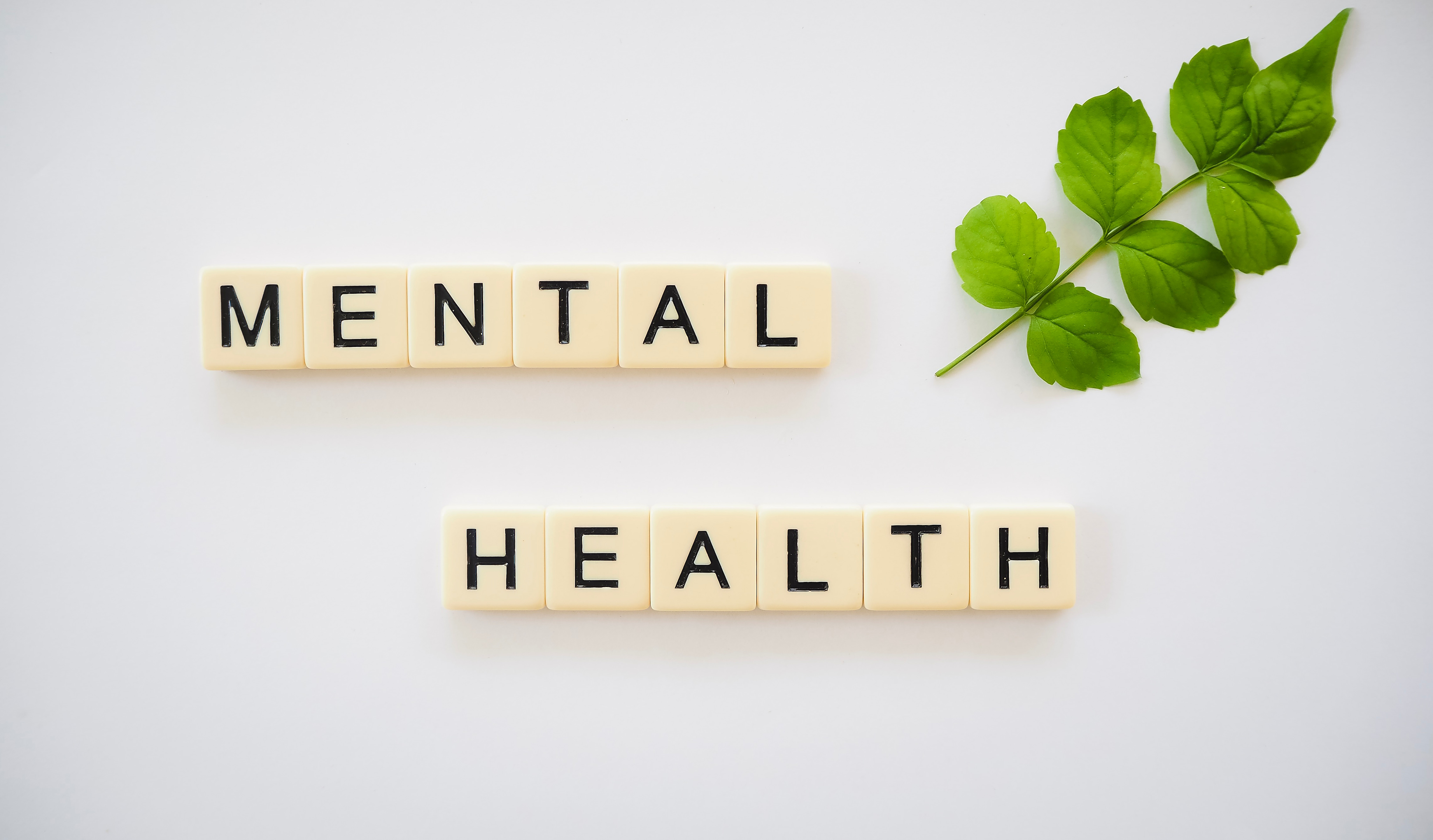 Improving Employee Mental Health in the New Future of Work